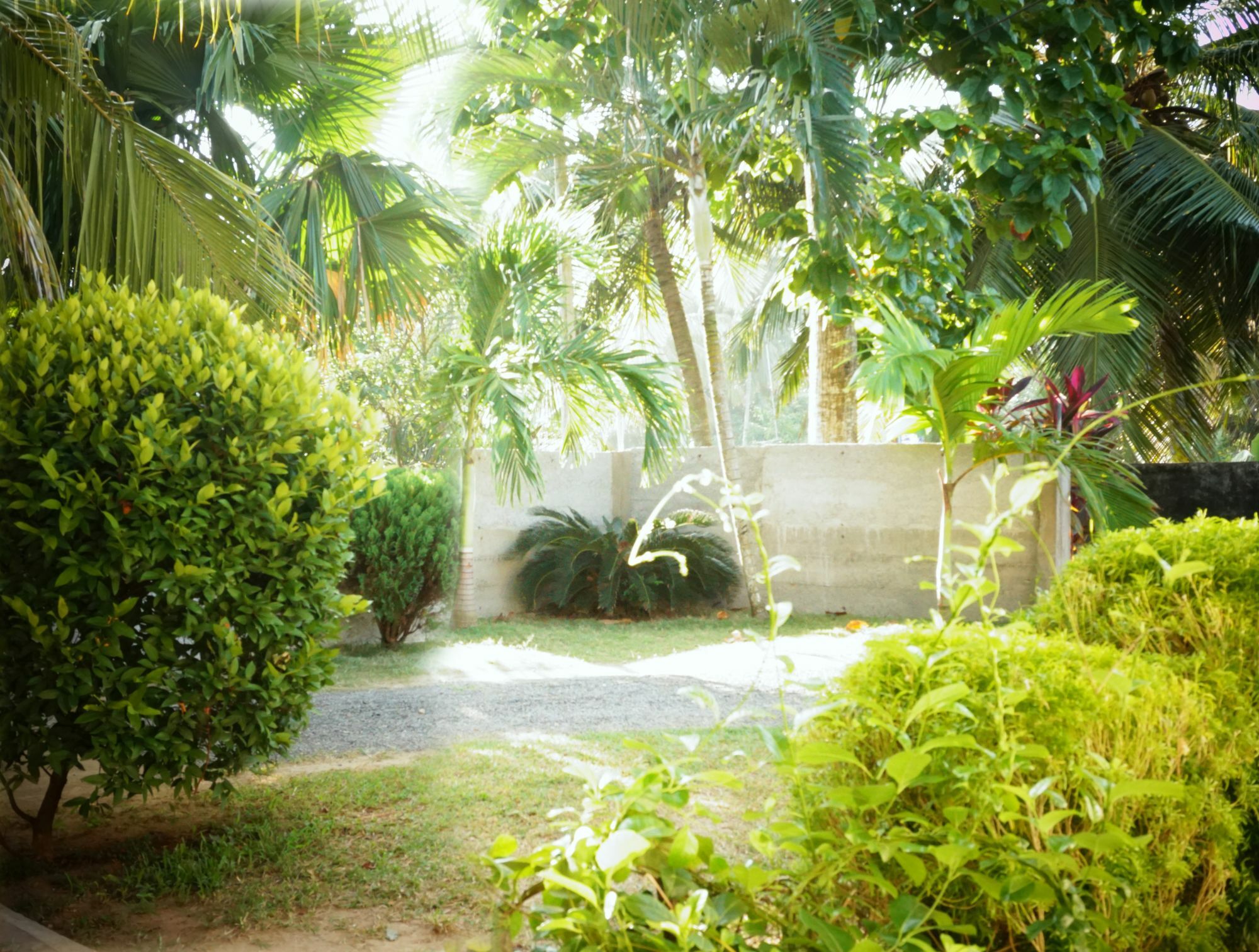 Liana Private Villa Near Tangalle Beach Zewnętrze zdjęcie